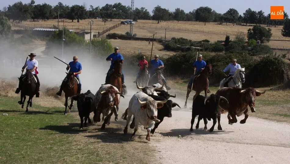 El encierro a caballo tendrá lugar el sábado 14 de septiemnbre