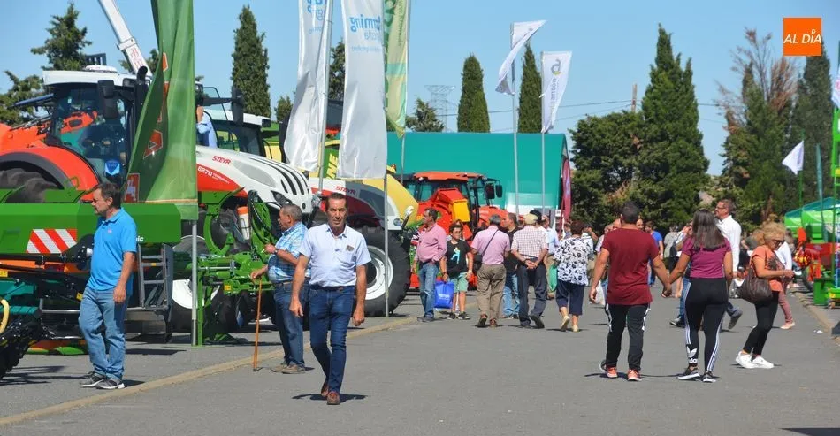 Maquinaria en Salamaq.