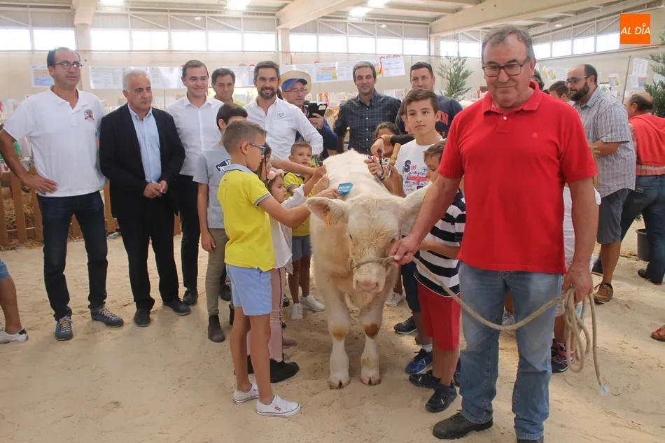 Buena acogida a la iniciativa para dar a conocer la raza charolesa entre los más pequeños