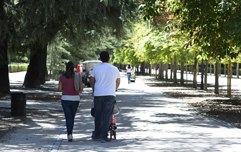 En 2018 se produjeron en Castilla y León 4.048 divorcios y 180 separaciones