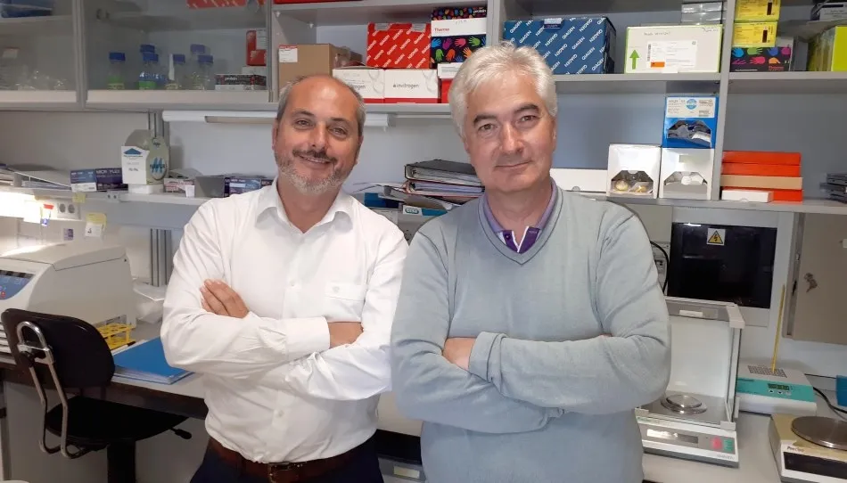Los grupos de investigación han estado liderados por Alberto Ocaña, de la Universidad de Castilla La Mancha de Albacete y Atanasio Pandiella, del Centro de Investigación del Cáncer de Salamanca dependiente de la Universidad de Salamanca (USAL)