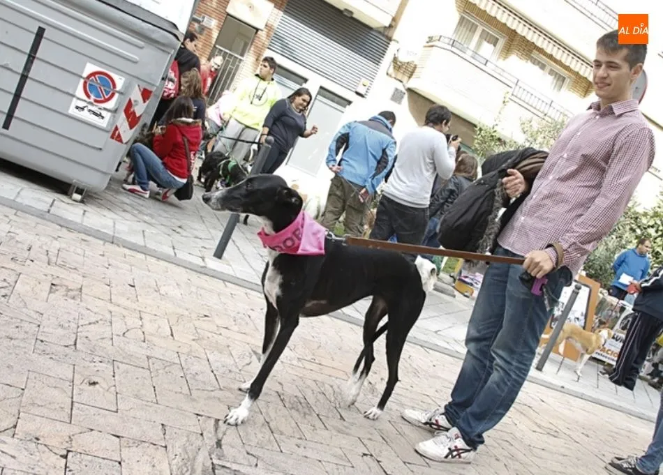 Iniciativa que cada año reúne a centenares de vecinos en el Barrio del Oeste