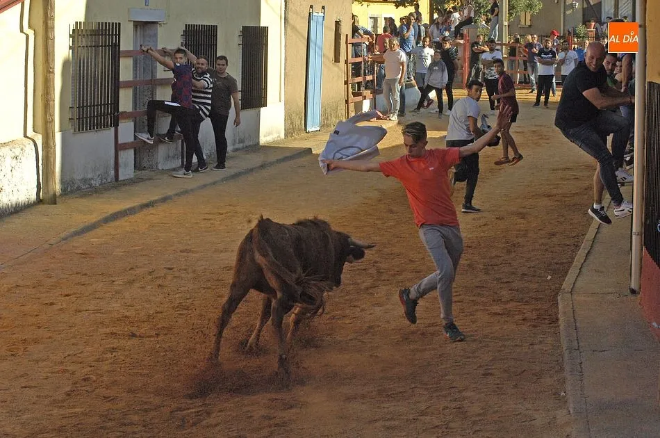 Un jóven hace un recorte a la res en pleno recorrido/Foto: Adrián M.Pastor