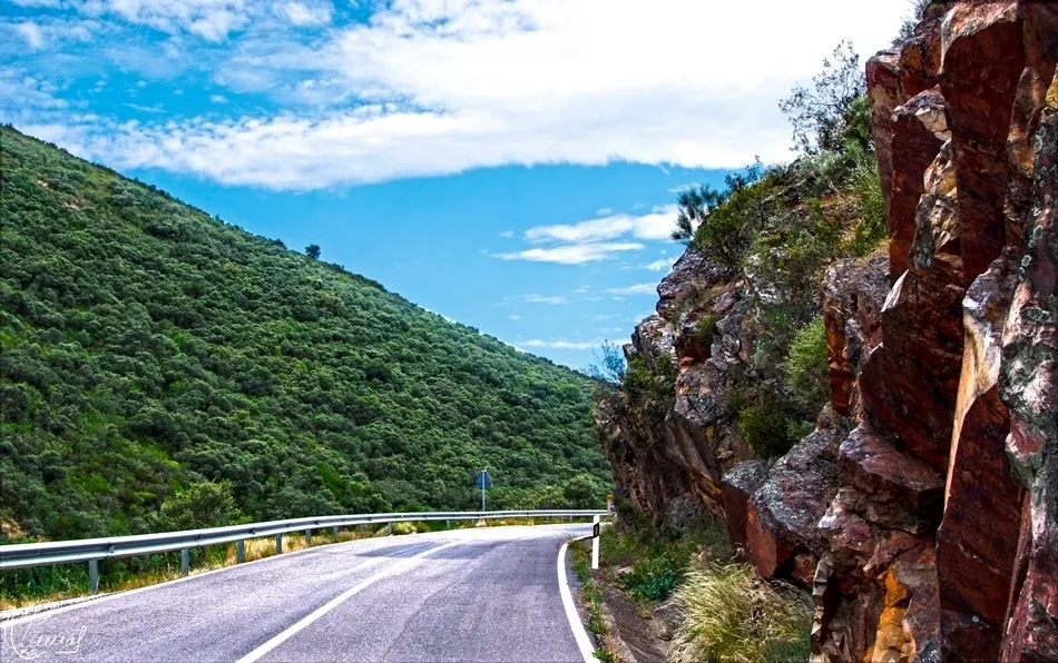 Las curvas de la vida