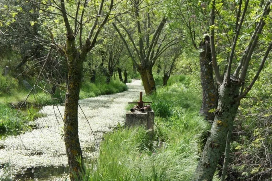 Ruta de los Molinos en Malpartida