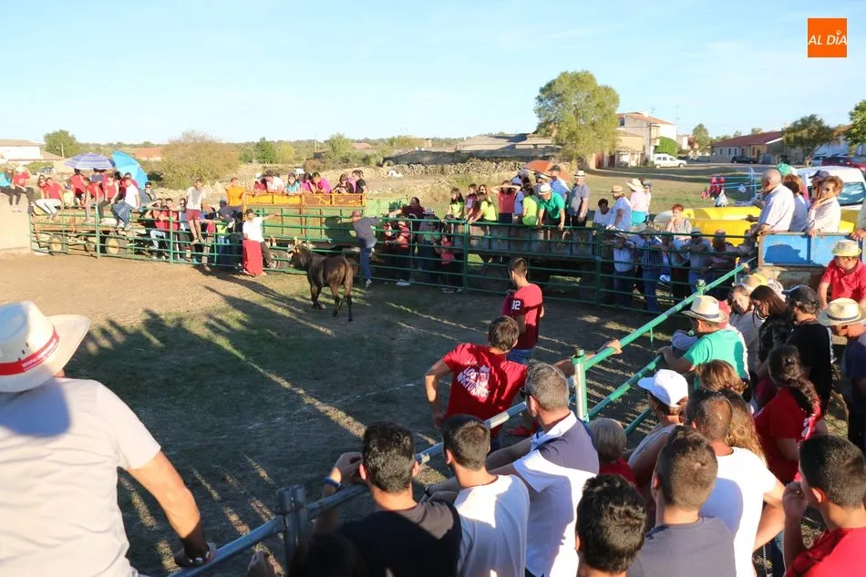 En Valderrodrigo se despiden de las fiestas con un divertido gran prix y una capea  