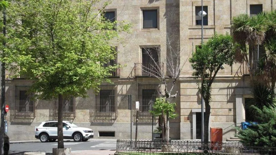 La poda permitirá mantener en un adecuado estado de conservación los árboles de la ciudad