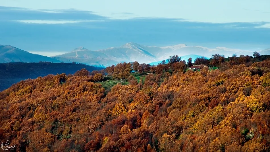 El sonido del viento
