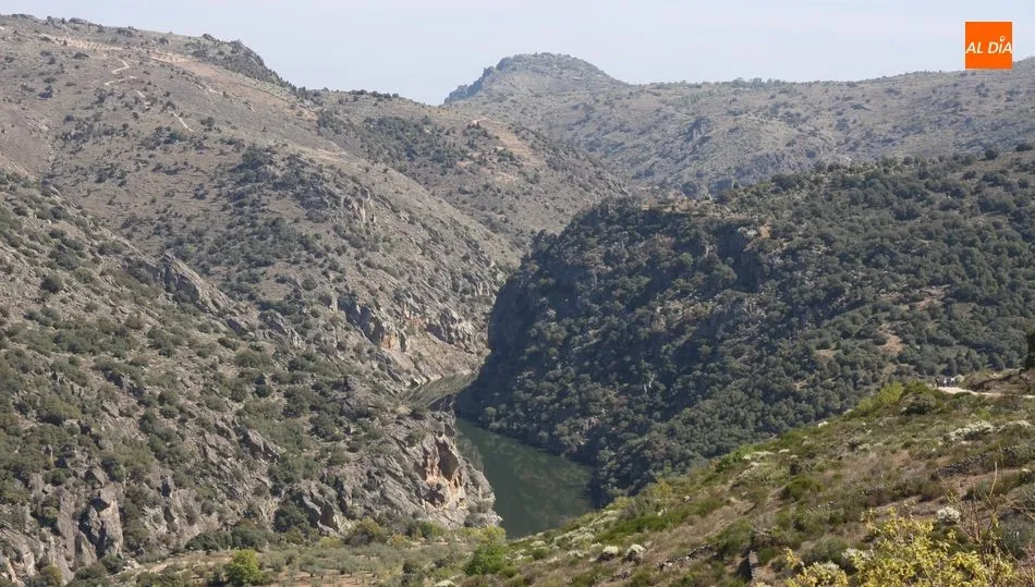 Paraje en el que Puente tiene proyectado el paso fronterizo / CORRAL