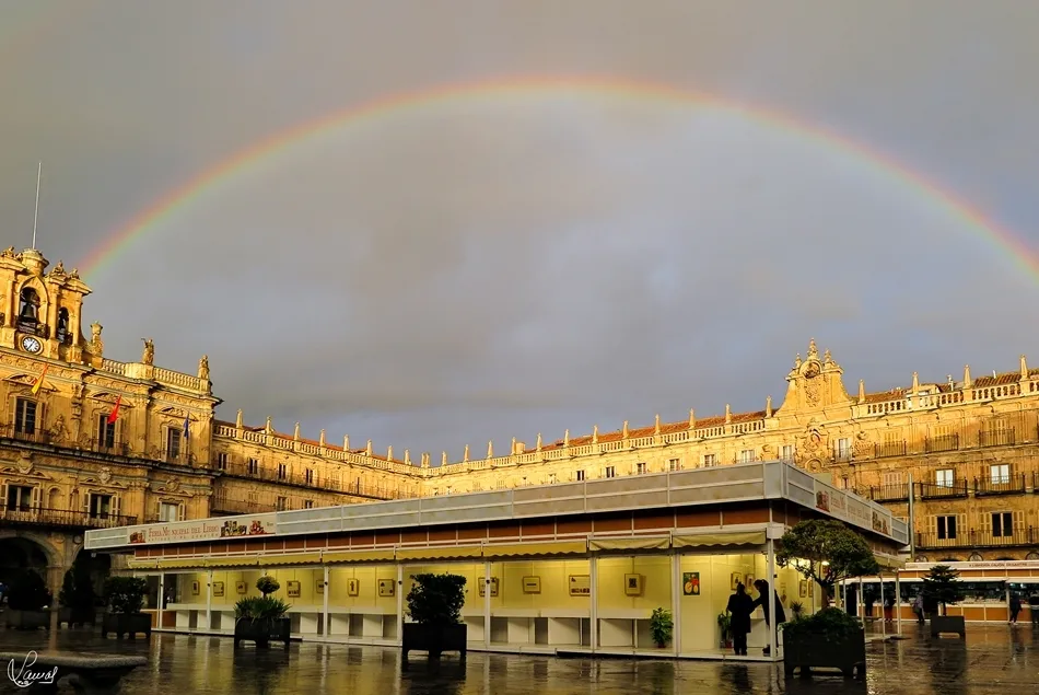 Literatura para iluminar tu vida