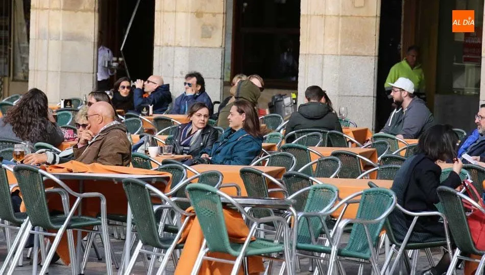 El nivel de ocupación ascendió, situándose en el 65,58%, 3,36  puntos más que en el mismo periodo del año anterior (62,22%)