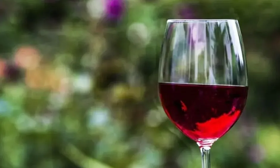 Investigadores españoles demuestran que el vino tinto puede ser eficaz para prevenir el Alzheimer