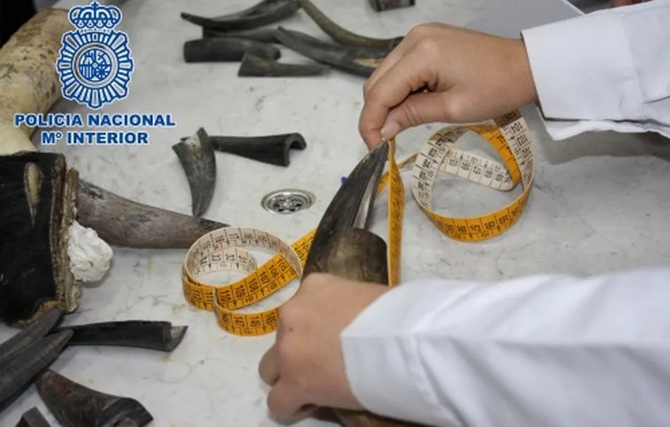 Sin confianza en la autoridad