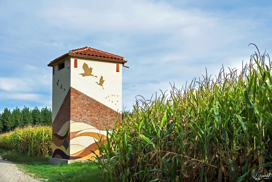 El encanto del ingenio rural