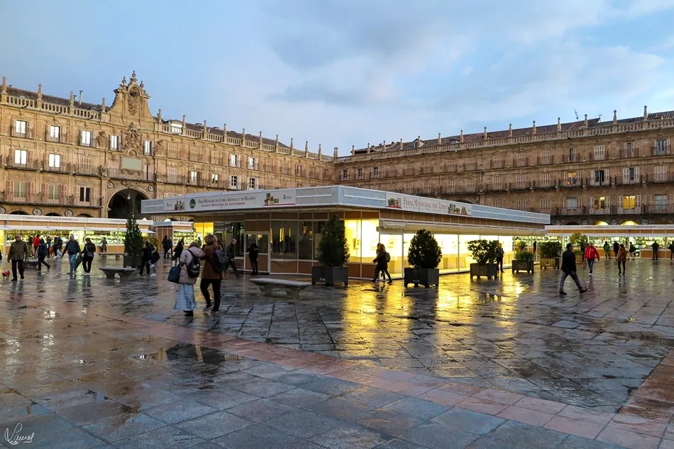Biblioteca Patrimonio de la Humanidad