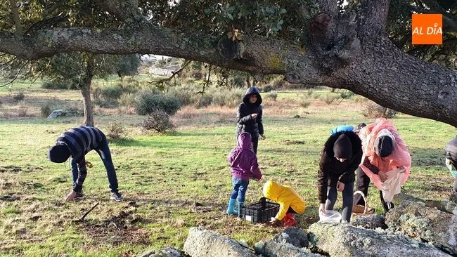 El sábado pasado se celebró la primera jornada micológica