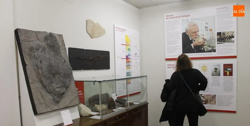 La renovada Sala de las Torgugas de la Facultad de Ciencias de la USALr