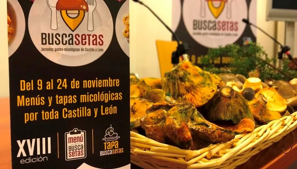 Entre los restaurantes participantes en esta edición, seis cuentan con estrella Michelin y 14 han sido distinguidos con un sol Repsol