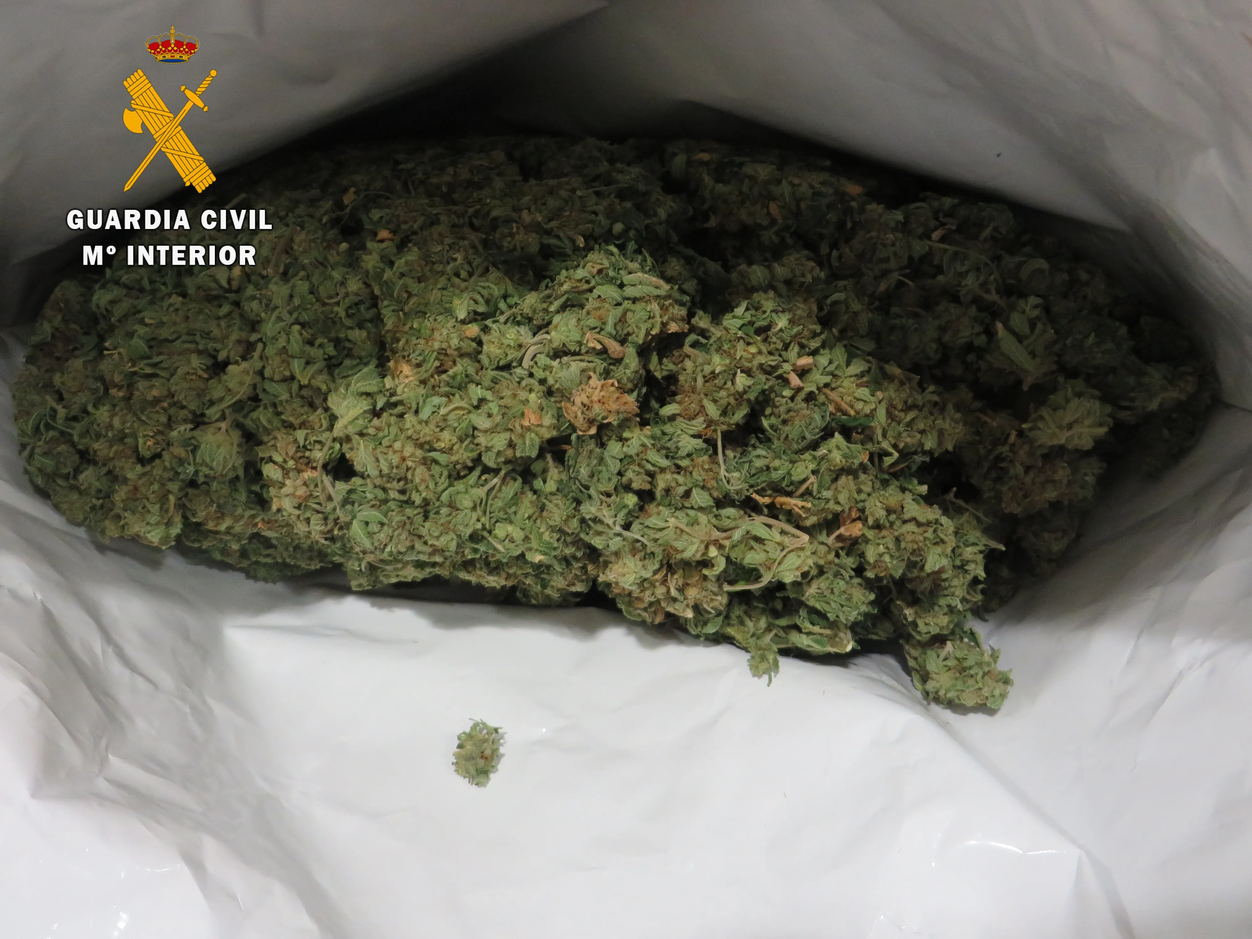 Marihuana interceptada por la Guardia Civil