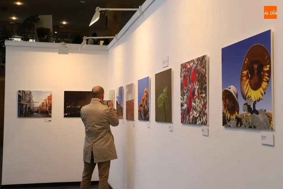 Un varón observa la exposición / Lydia González