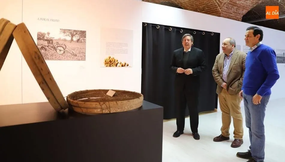 Visita a esta exposición del concejal de Comercio, Innovación y Mercados, Ricardo Ortiz, acompañado por el director del Museo del Comercio y un representante de la Cámara de Comercio. Foto de Lydia González