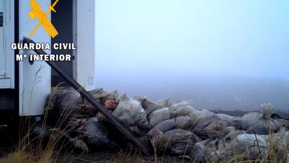 La operación está relacionada con la gestión fraudulenta de subproductos de origen animal