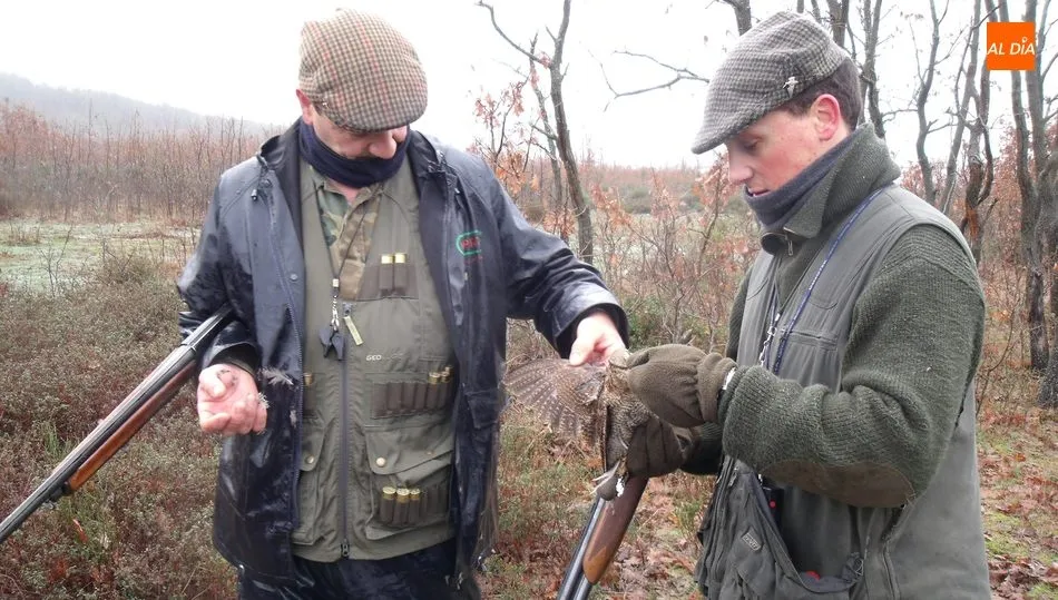 La becada es una caza para especialistas, tanto el cazador como el perro necesitan de dotes especiales como la intuición en el disparo y el trabajo en la búsqueda /  CORRAL