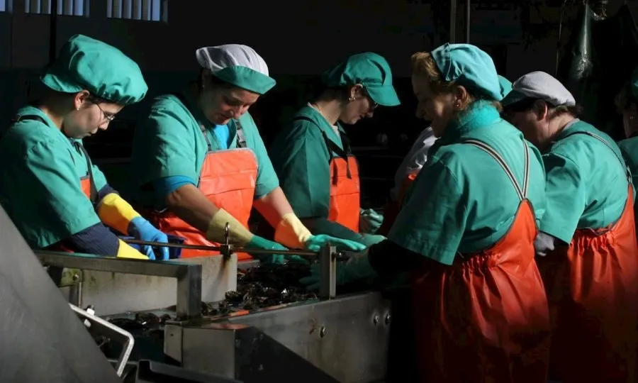 A diferencia de lo que ocurría hace un año, cuando la creación de empleo estaba equilibrada por sexos, las mujeres se han visto más beneficiadas este año
