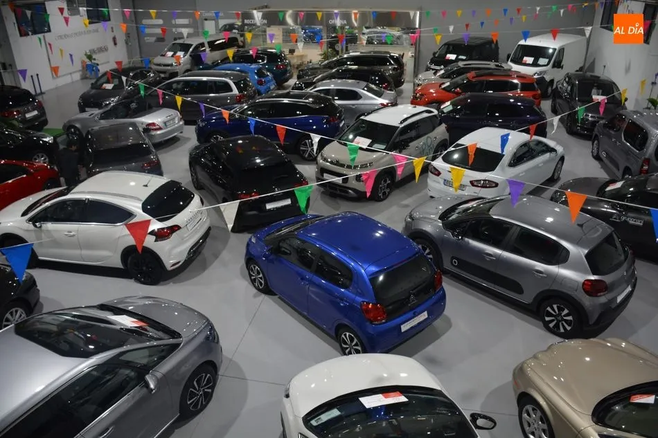 Diversos vehículos del Grupo Nani / Lydia González