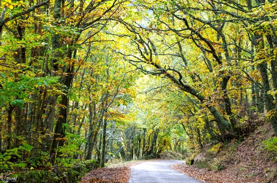 Cuento, leyenda o realidad