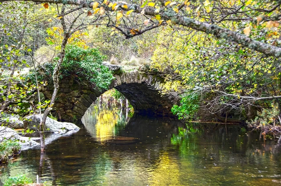 El placer de lo apacible