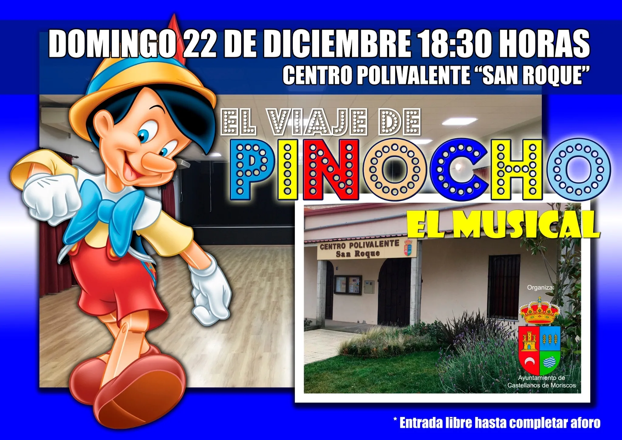 Cartel del musical de pinocho