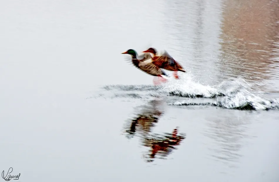 La espuma del pasado