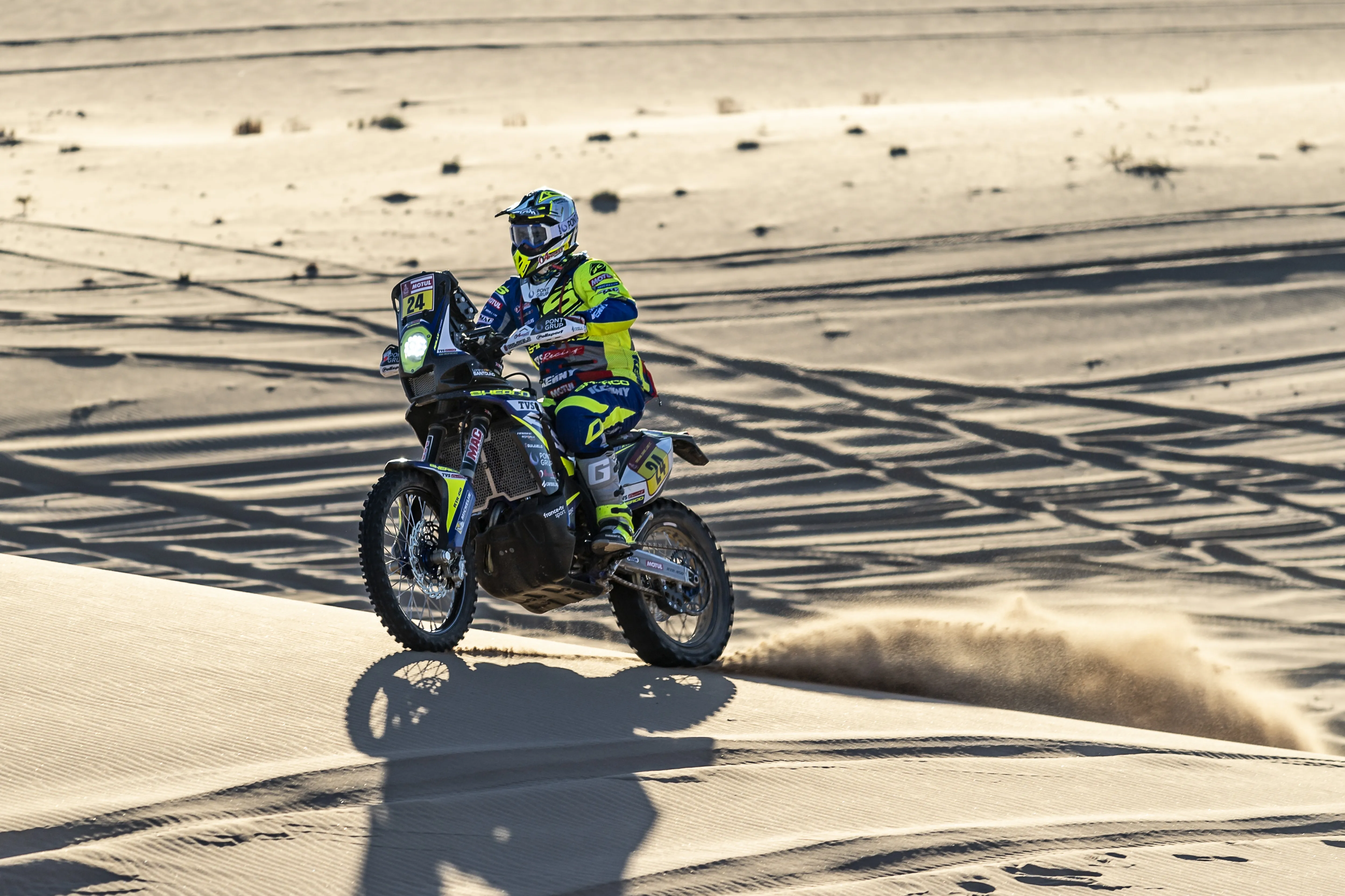 Santolino, en las dunas