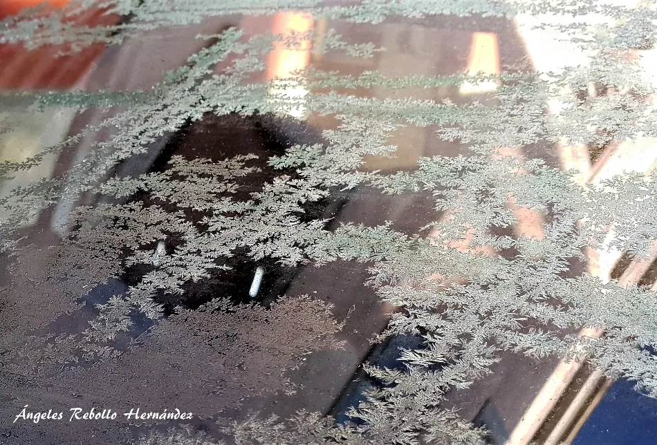 Cartografías efímeras