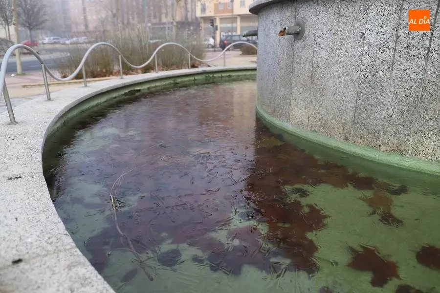 Fuente helada en el parque Villar y Macías. Foto de Lydia González