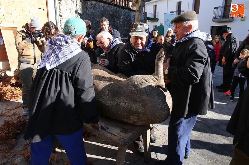 Cuenta atrás para la matanza de Linares de Riofrío de este sábado