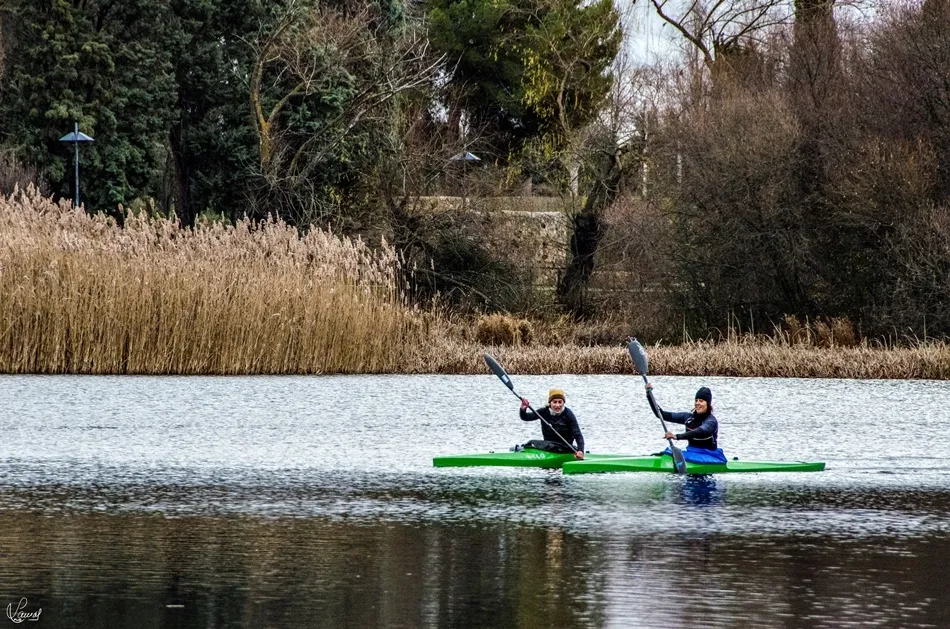 Placeres dominicales