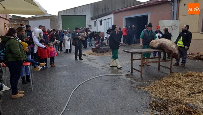 Decenas de personas acudían a la Matanza Típica en Villar de Gallimazo