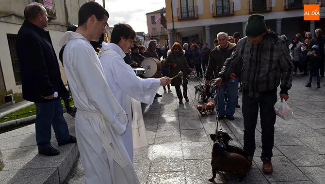 La bendición de San Antón era recibida por decenas de mascotas en Peñaranda