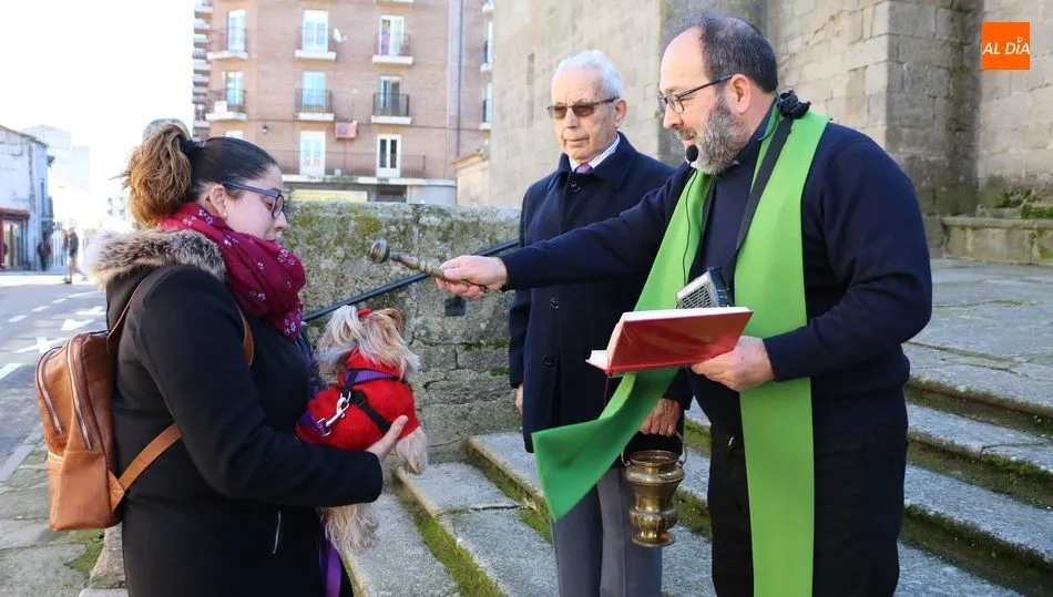 Bendición solitaria de San Antón en Vitigudino  