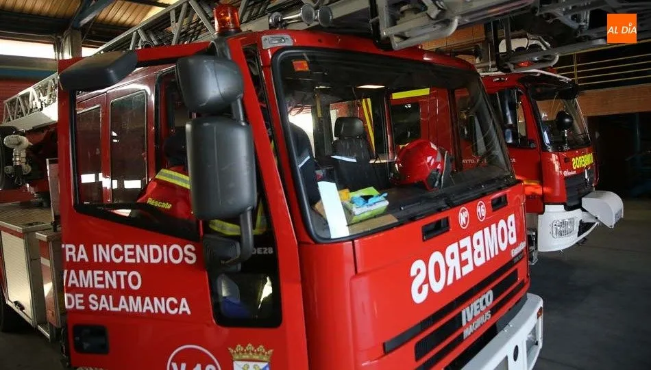 Vehículos de bomberos en el parque municipal