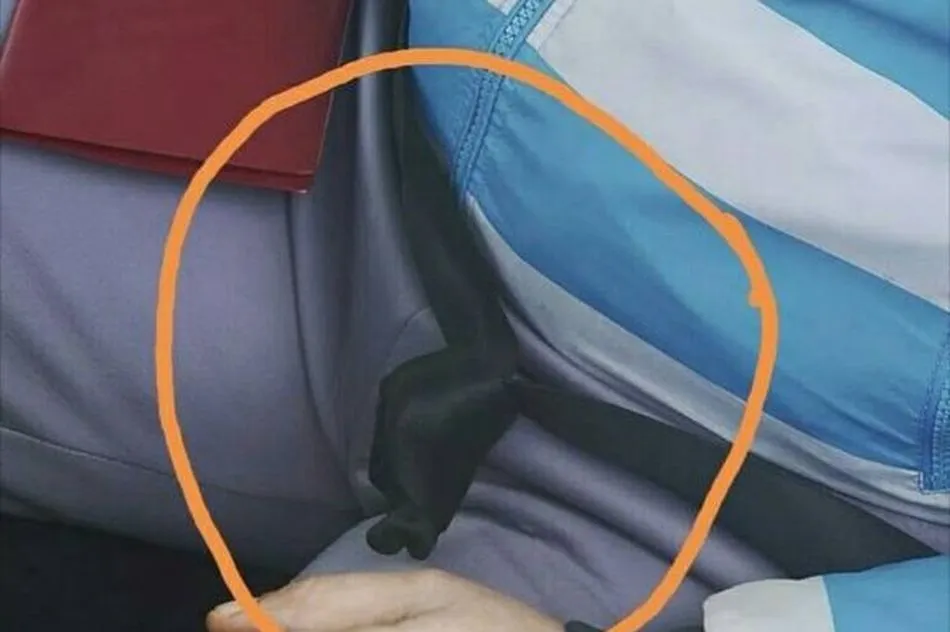 Imagen del nudo en el cinturón de seguridad. Foto: EP