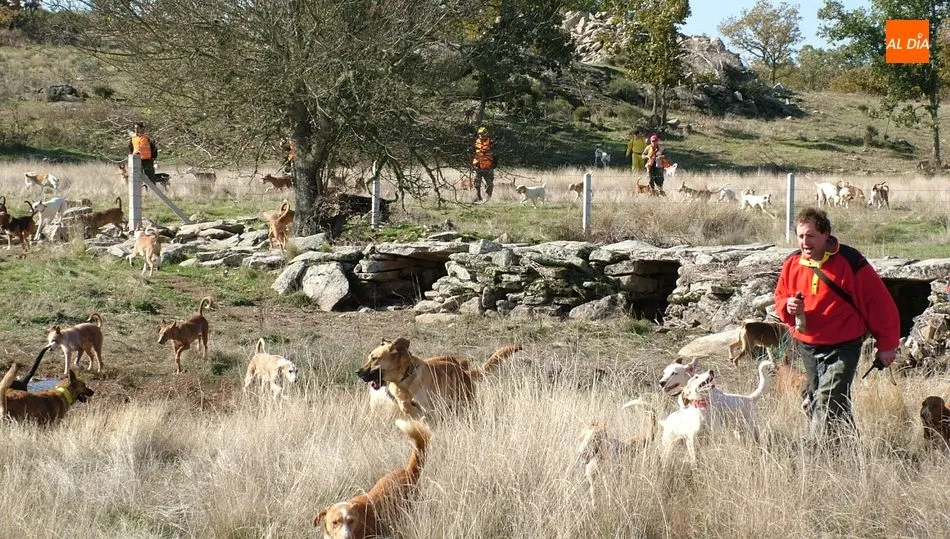 El colectivo cinegético ha vertido importantes críticas hacia el anteproyecto por dejar esta actividad en manos de los ecologistas / CORRAL