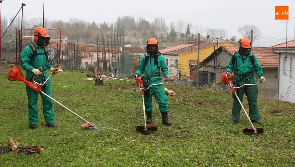 Se crearán dos cuadrillas para reducir masa arbustiva en montes públicos / CORRAL