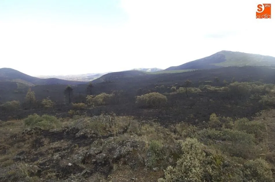 Evitar los incendios es el objetivo prioritario de esta medida