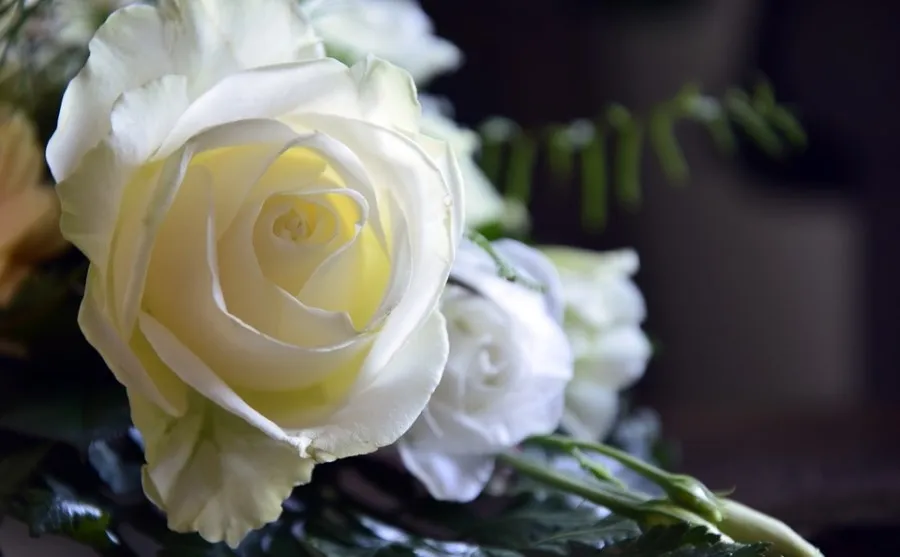 La PAZ es vida cotidiana y la mejor inversión de presente y de futuro