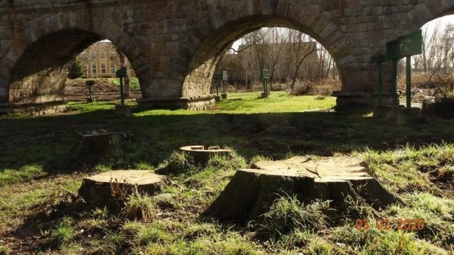 Aspecto de la zona cercana al Puente Romano, donde se han talado árboles