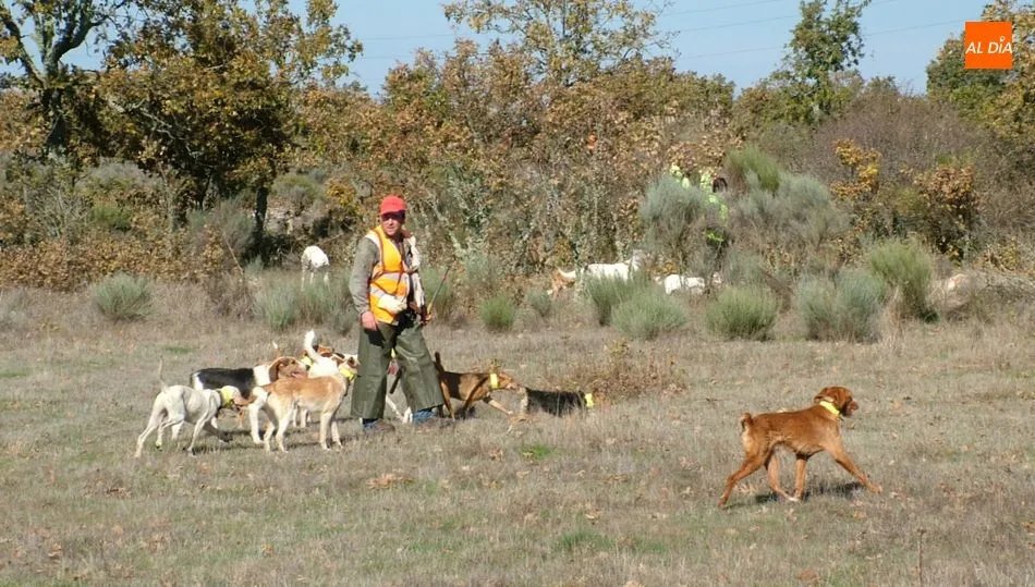 RFEC y ARRECAL piden la nueva norma para núcleos zoológicos se adapte a la realidad del medio...