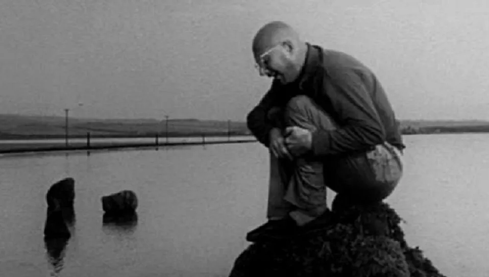 ¿Por qué la caza de Polanski?